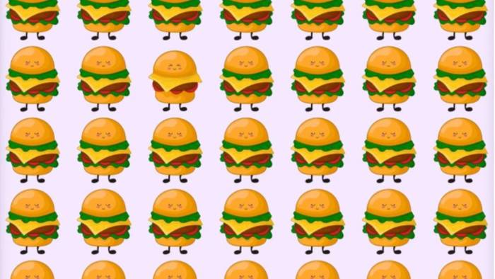 Yüksek IQ’lular 5 Saniyede Buluyor: Farklı Hamburger Nerede?