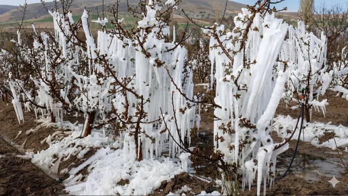 Marmara İçin Kritik Uyarı: Meteoroloji’den Zirai Don Alarmı!