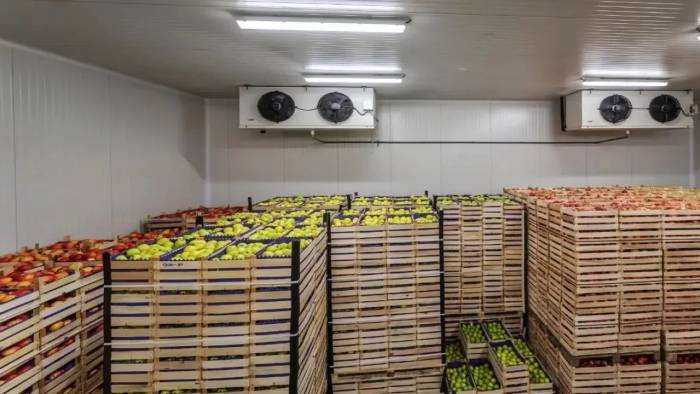 Market raflarının gözdesiydi: Gıda devi iflas bayrağını çekti