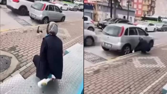 Kocaeli’de Market Önünde Kediye Sprey Saldırısı: Çalışan Kadın Gözaltında!