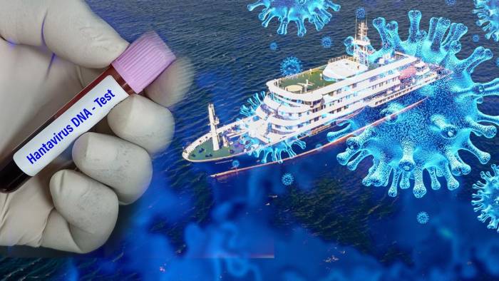 Hantavirüs Paniği Gündemde! Türkiye’de de Görülmüştü