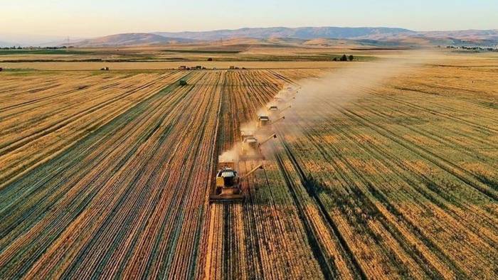 Tarım sektöründe iki şirket için iflas kararı! Konkordato talepleri reddedildi