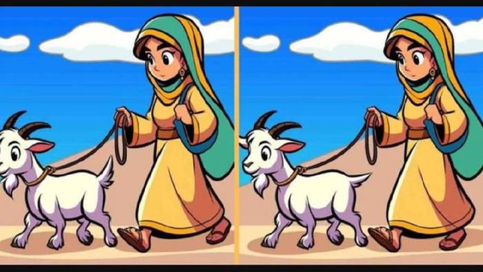 12 saniyede 3 farkı bulanların sayısı çok az! Sen bulabilecek misin?