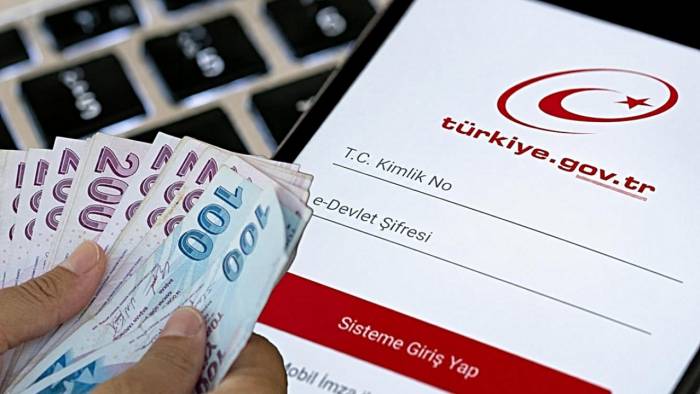 Parasını Bekleyen Fon Yatırımcılarına E-Devlet Uyarısı! Bu Kodu Olanlar Öncelikli!