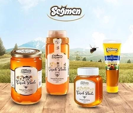 segmen2.jpg
