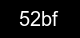 Guvenlik kodu