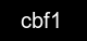 Guvenlik kodu
