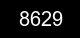 Guvenlik kodu