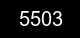Guvenlik kodu