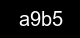 Guvenlik kodu